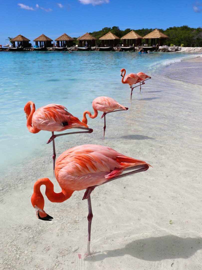 Caribbean Honeymoon Guide Best Destinations & Resorts The Honeymoon Edit