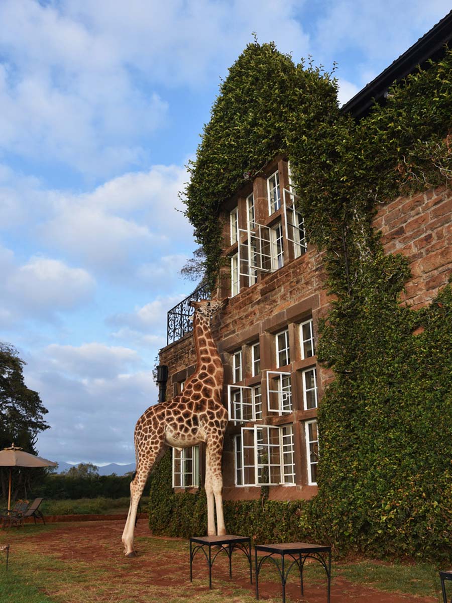 Giraffe Manor, Kenya