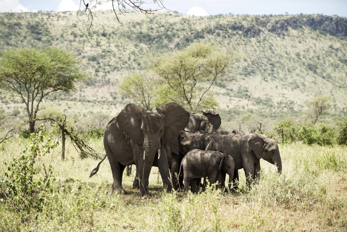 Tanzania