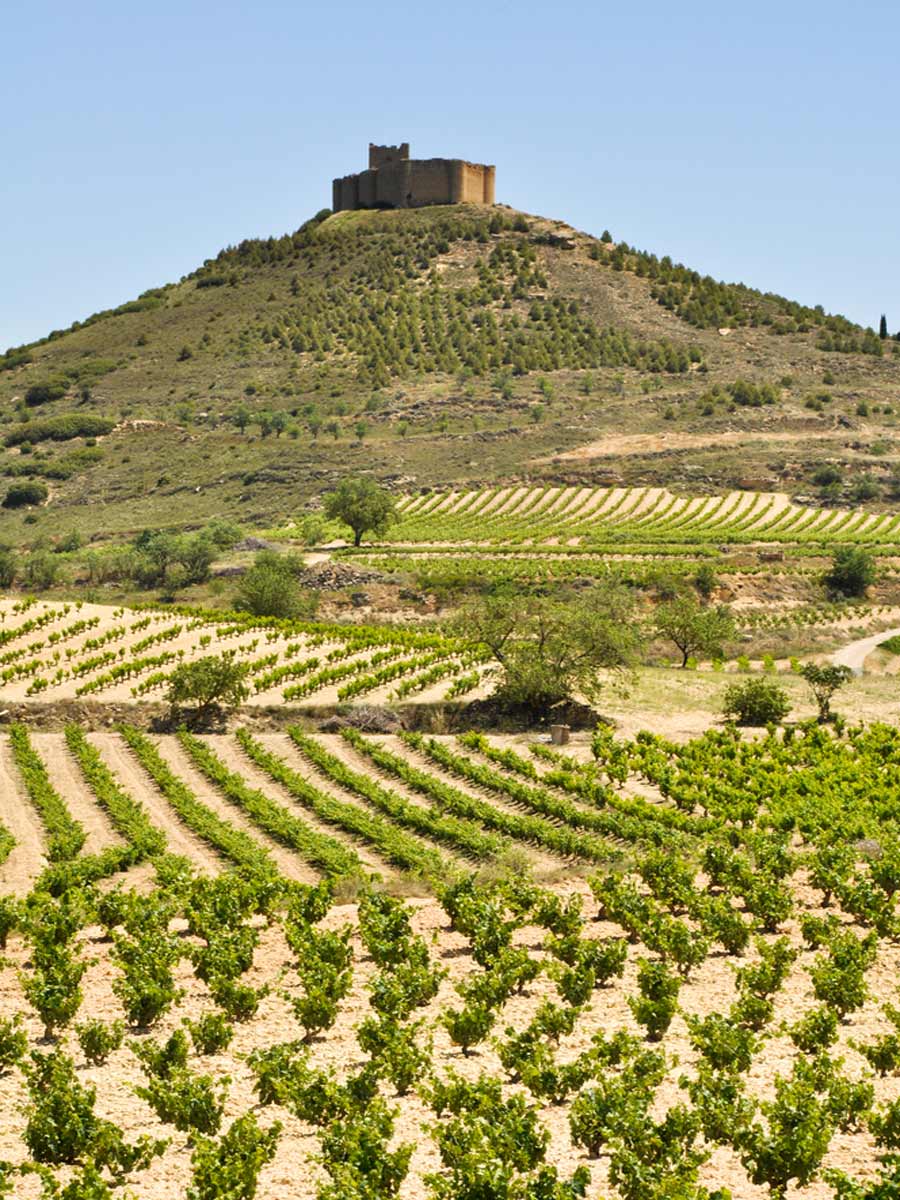 Vineyards and Davalillo castle, La Rioja (Spain)