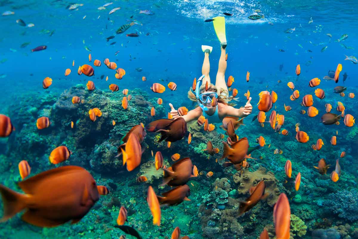 Bahamas Snorkel