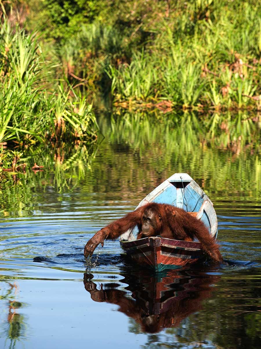 Borneo, Indonesia