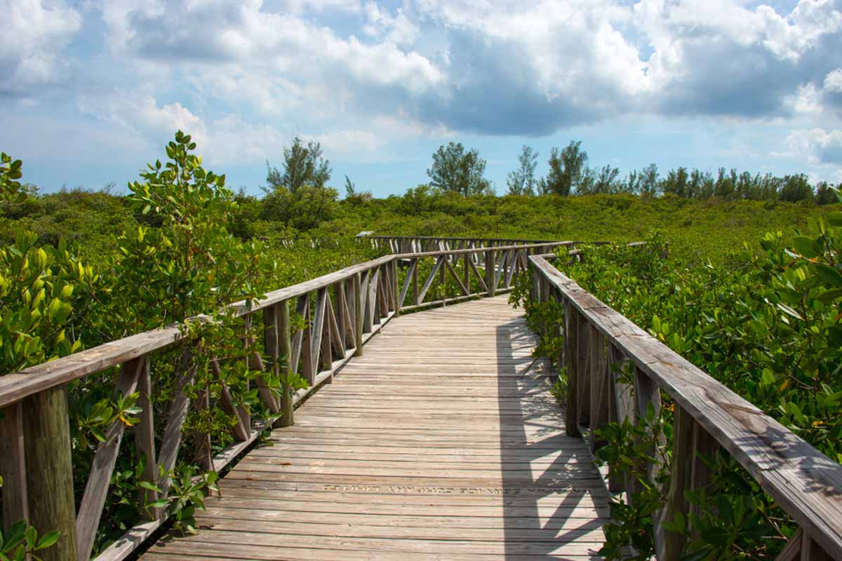 Lucayan National Park