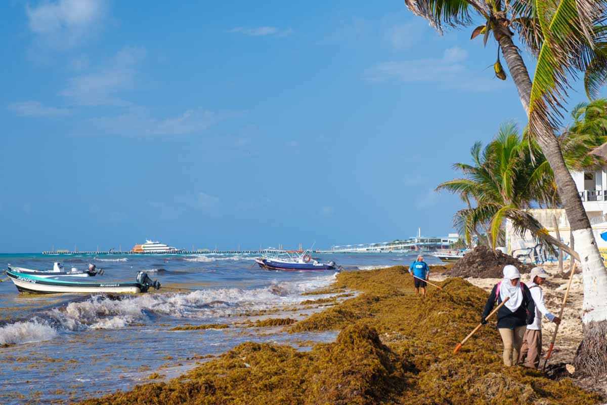 PLAYA DEL CARMEN,MEXICO