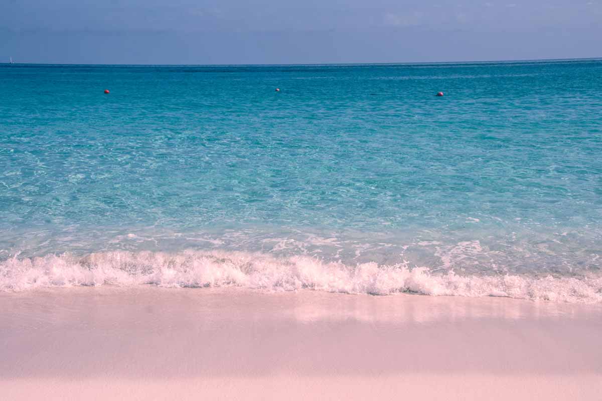 Pink Sands Beach (Harbour Island)