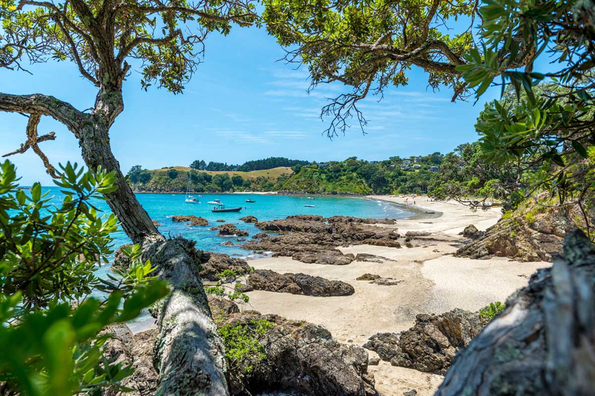 Waiheke Island, New Zealand