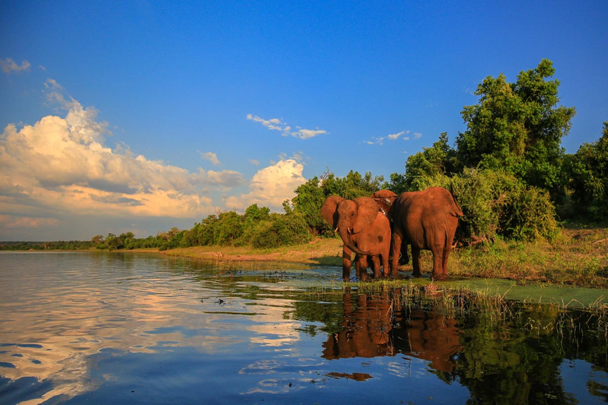 Kruger National Park, South Africa