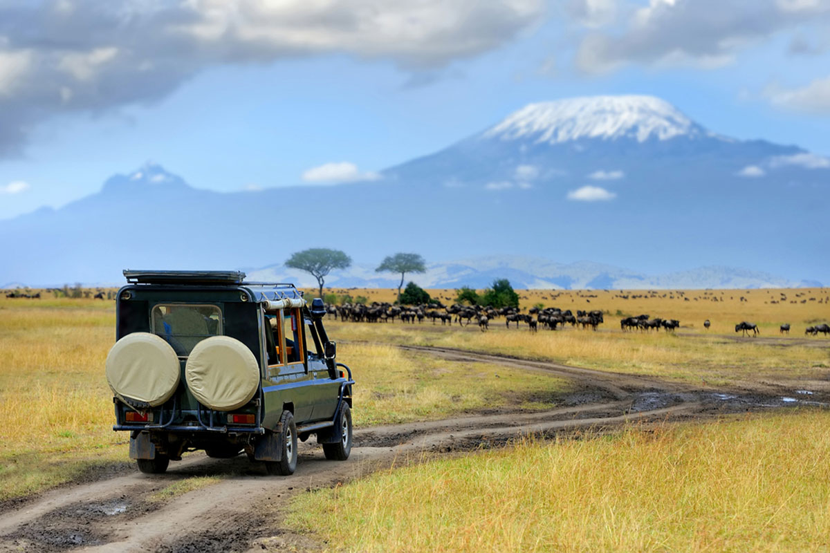 Masai Mara Reserve, Kenya