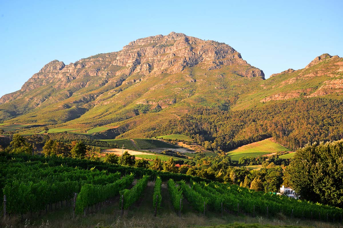 Cape Winelands