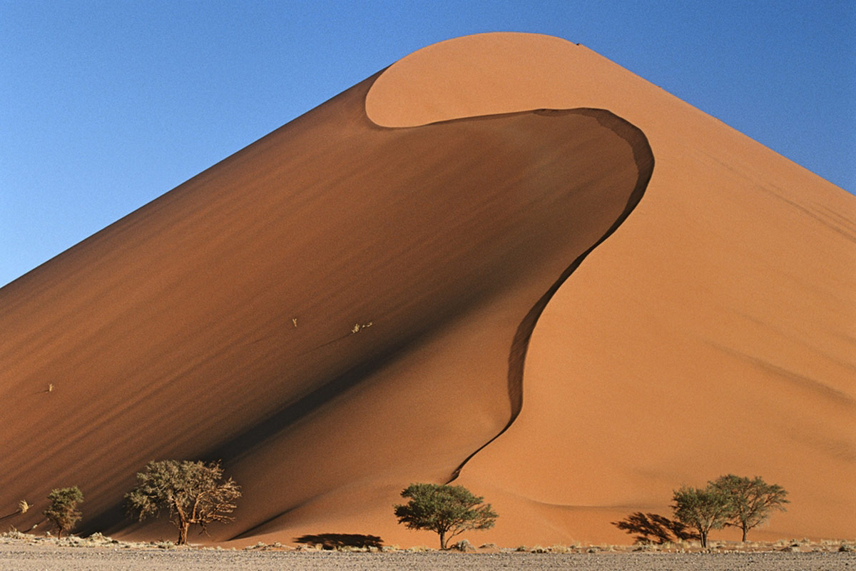 Namib Desert