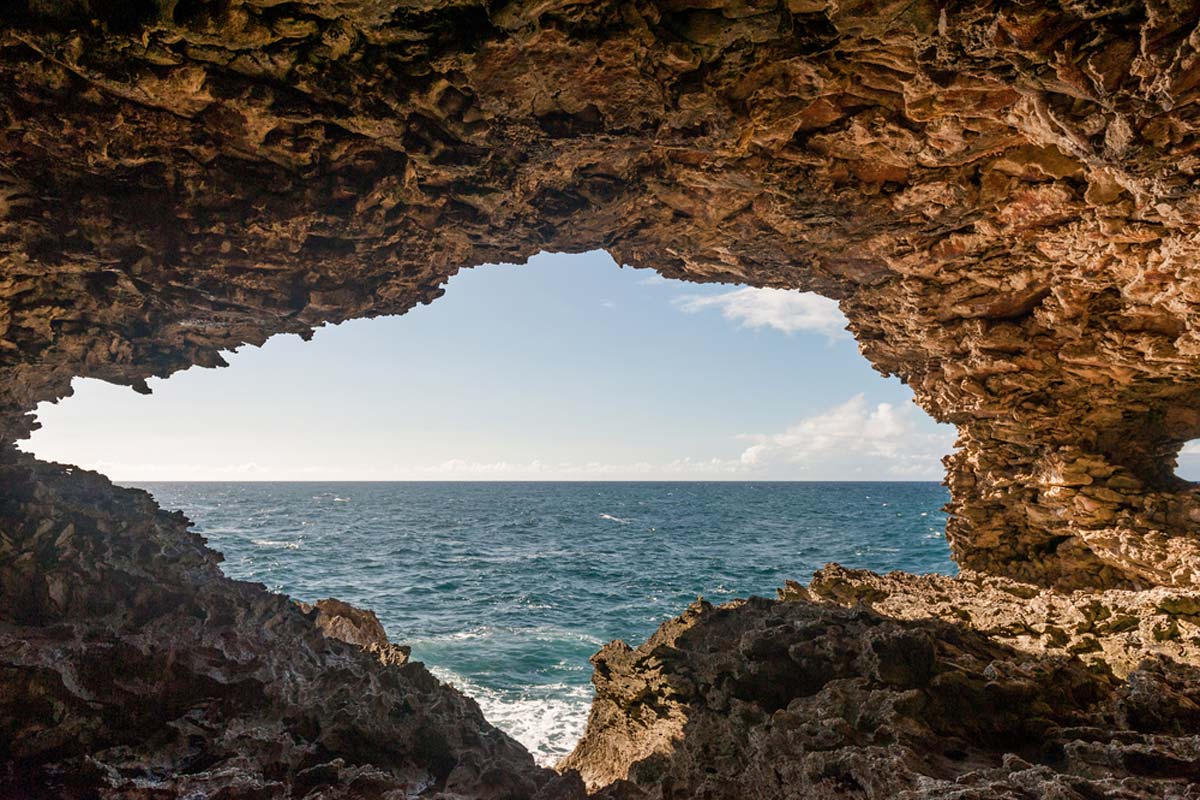 Animal Flower Cave in Barbados