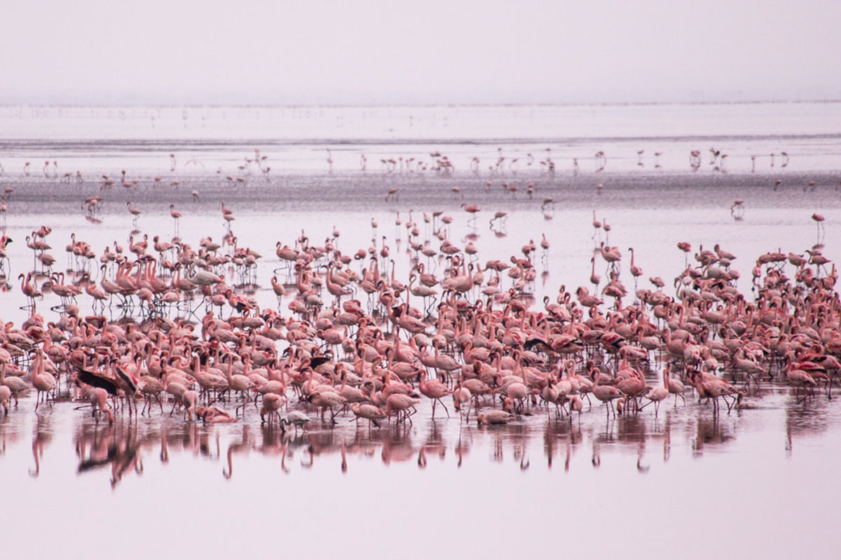 Lake Manyara National Park