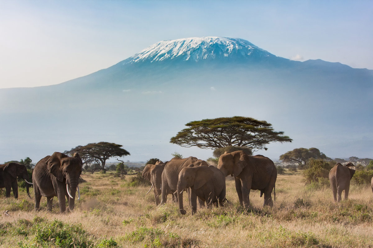 Mt. Kilimanjaro