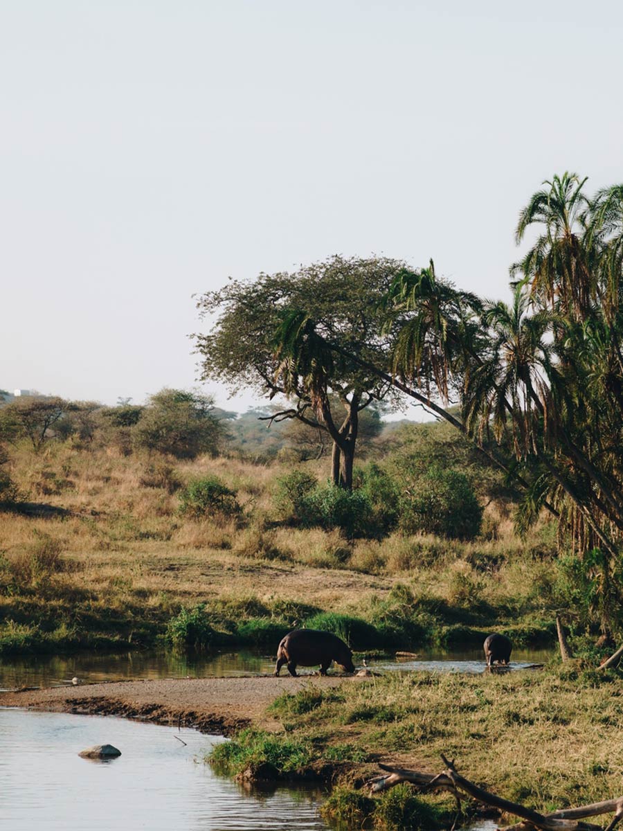 Ngorongoro Conservation Area