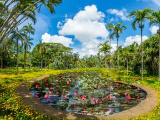 ir Seewoosagur Ramgoolam, Botanical Garden of Mauritius island, Africa