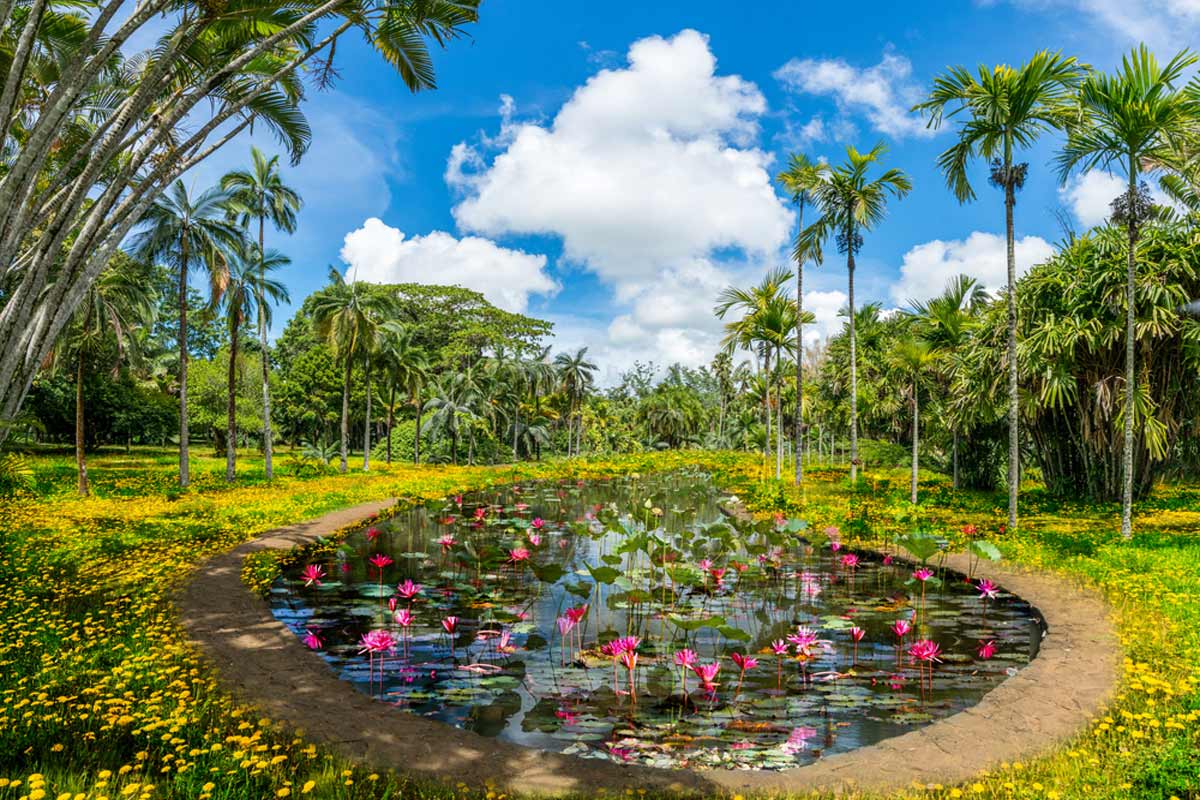 ir Seewoosagur Ramgoolam, Botanical Garden of Mauritius island, Africa
