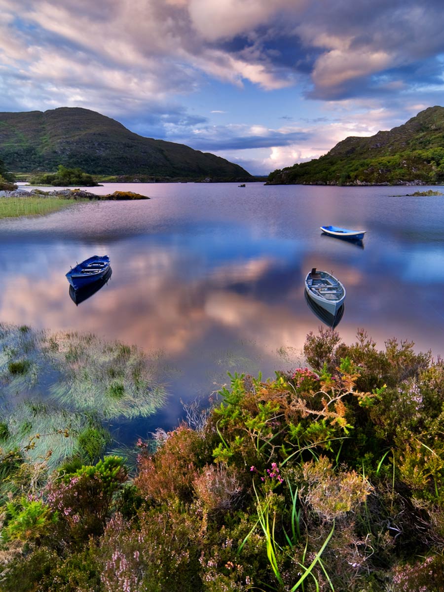 Killarney National Park, Republic of Ireland, Europe