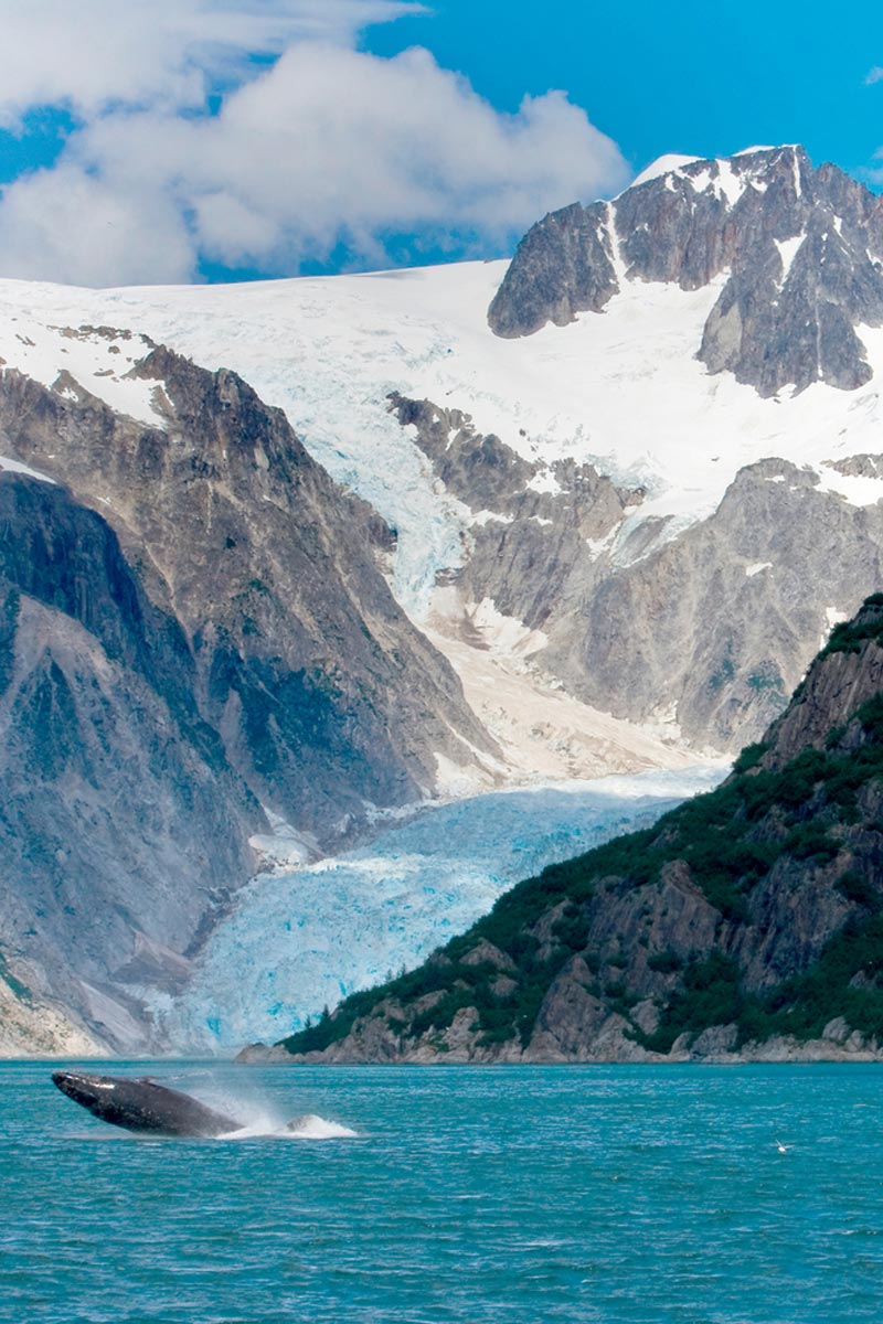 Kenai Fjords National Park