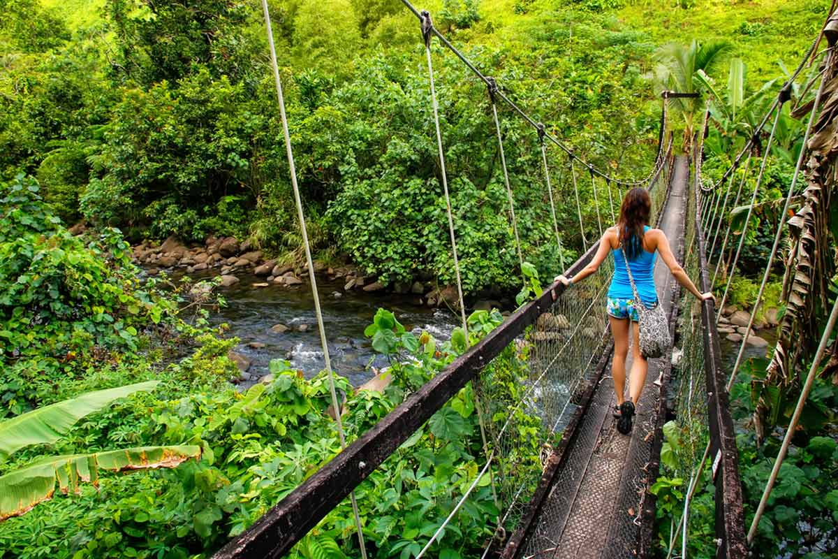 Wainibau stream, Lavena Coastal Walk, Taveuni Island, Fiji