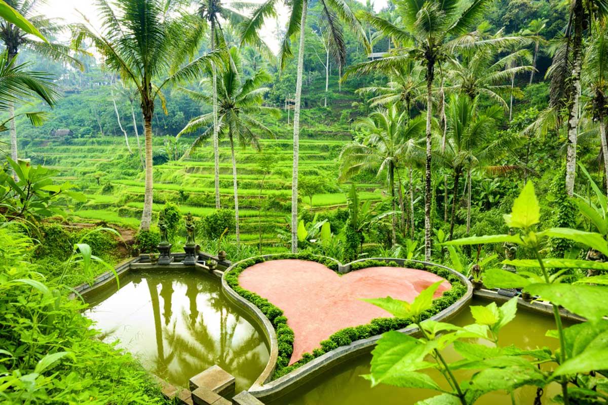 Tegalalang Rice Terraces Bali