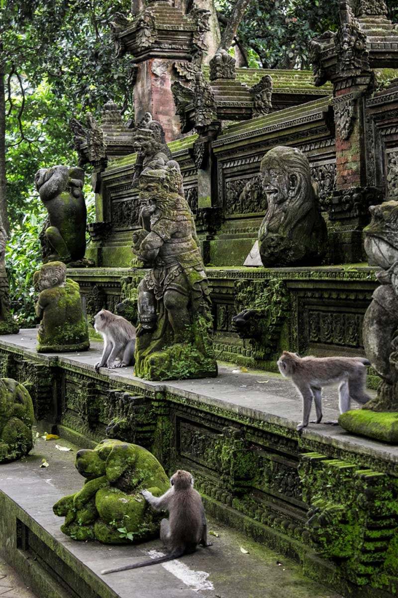 Ubud Monkey Forest Bali