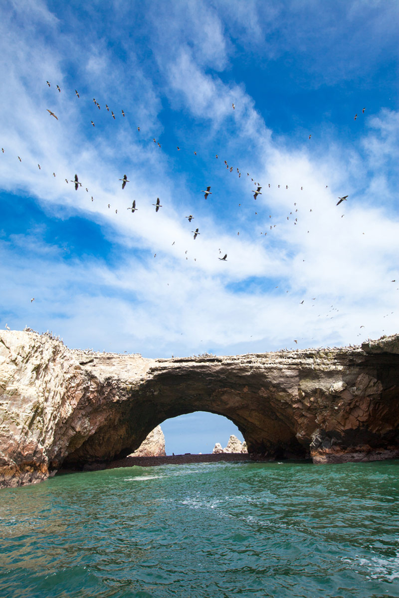 Ballestas Islands Peru