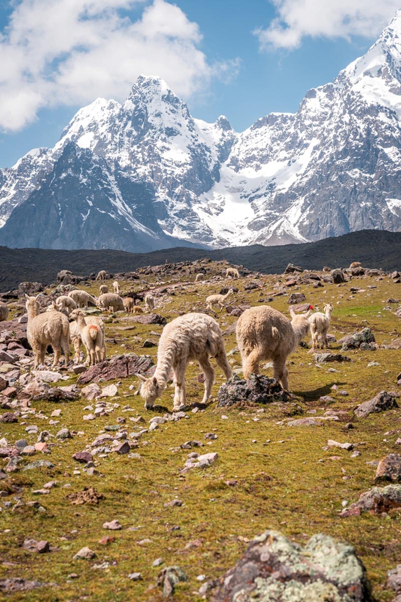 Peru