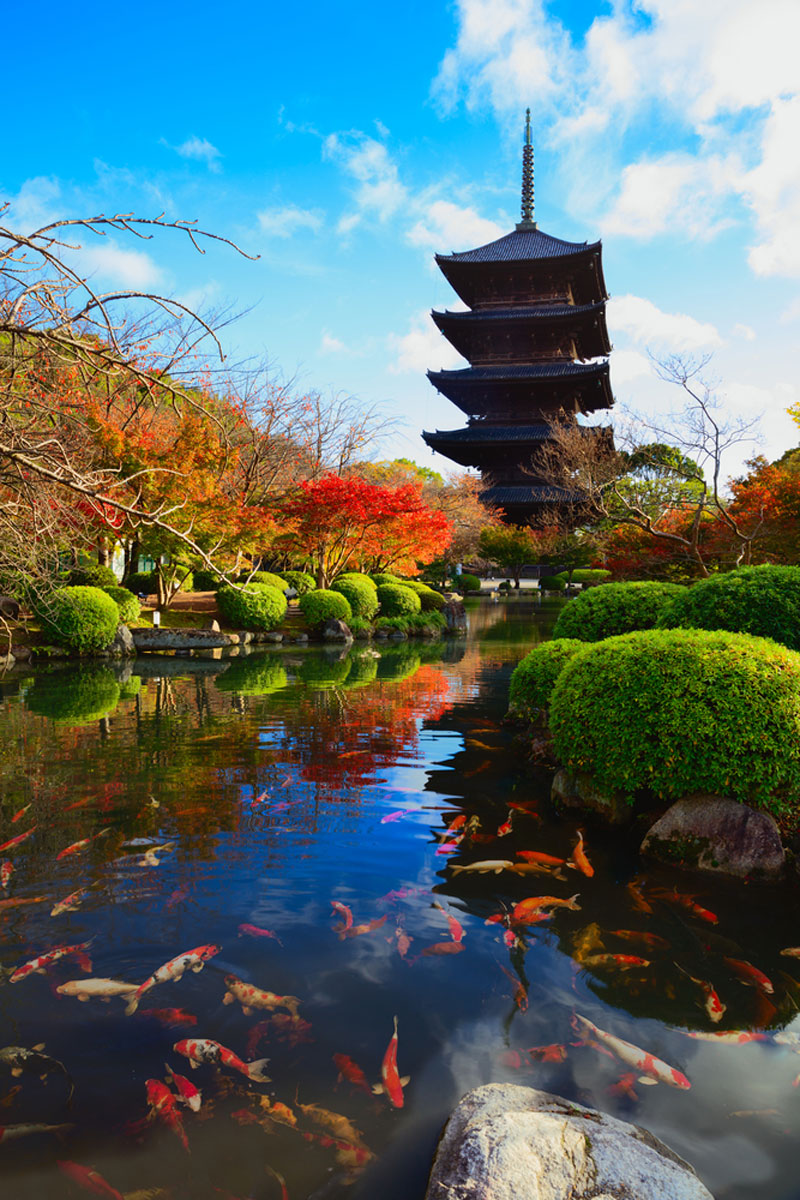 Toji temple, Kyoto Japan