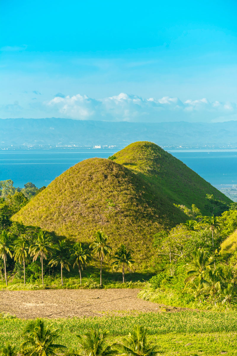 Chocolate Hills in Bohol