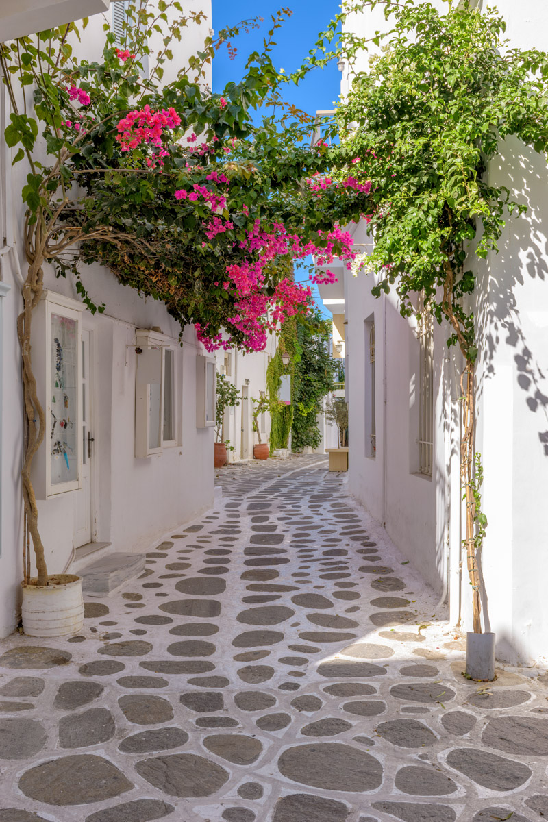 Cycladic Street in Paros 